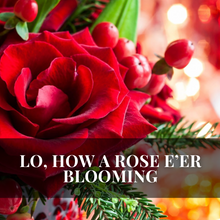 Load image into Gallery viewer, Lo, How a Rose E'er Blooming