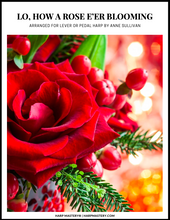 Load image into Gallery viewer, Lo, How a Rose E'er Blooming