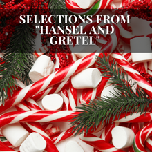 Load image into Gallery viewer, Selections from Hansel and Gretel
